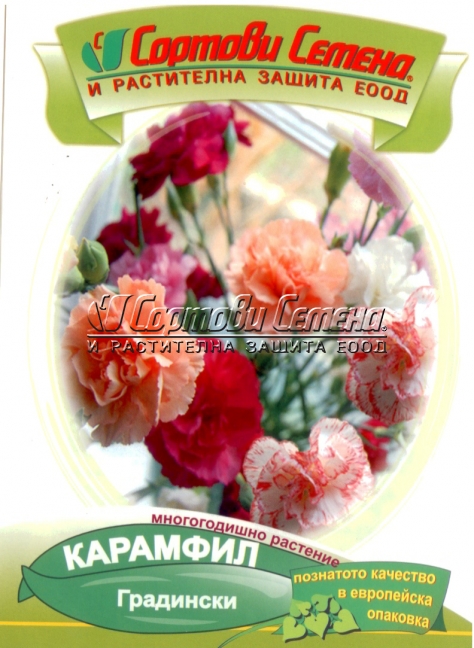 Карамфил градински смес