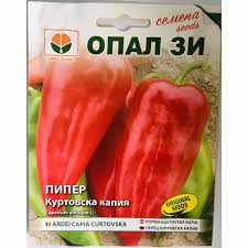 СЕМЕНА-ПИПЕР-КУРТОВСКА-КАПИЯ-2гр