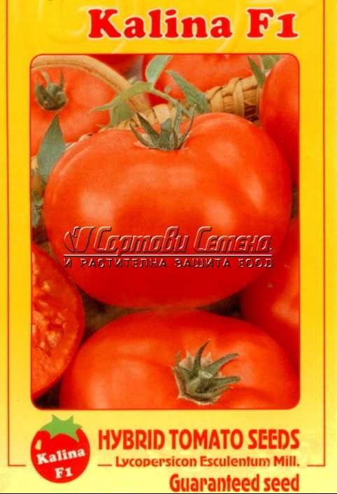 ДОМАТИ-КАЛИНА