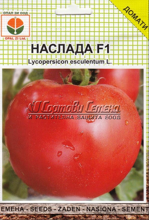 ДОМАТИ--НАСЛАДА