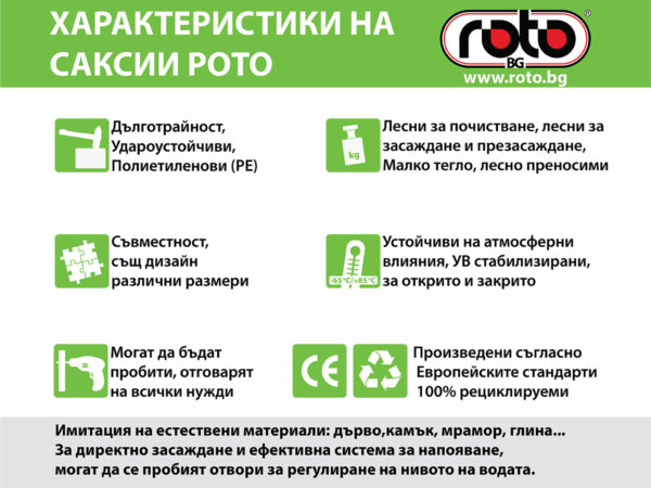 Саксия Полка средна М