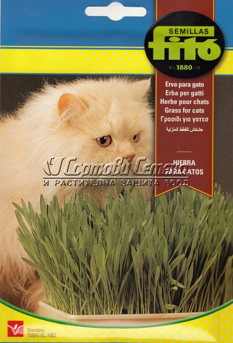 Котешка-трева-20гр