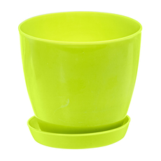 Саксия марияна 17 св.зелена+чин.