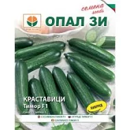 Краставици-тимор