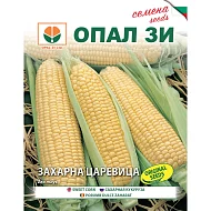 Семена-захарна-царевица-50гр